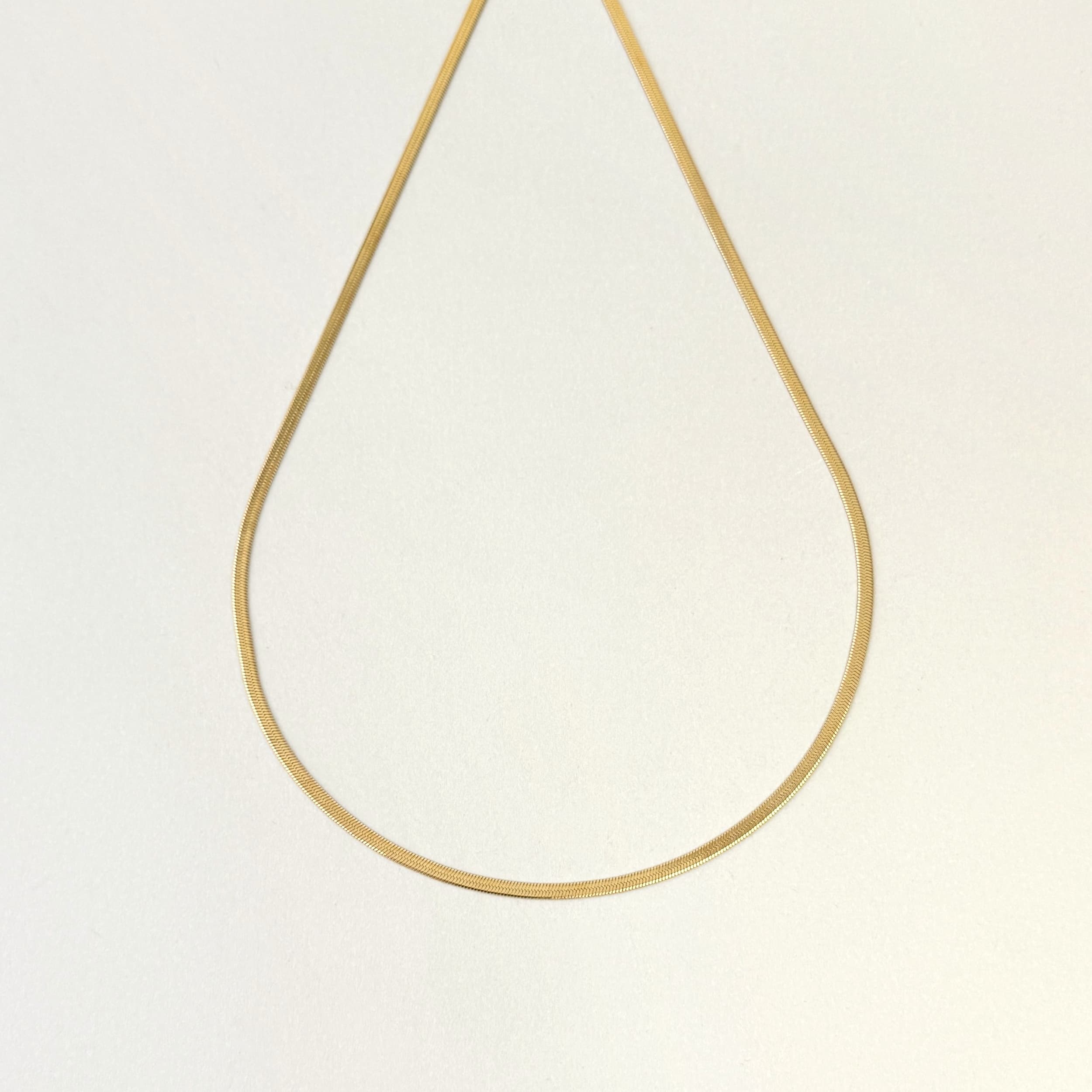 Flat Snake Chain Necklace