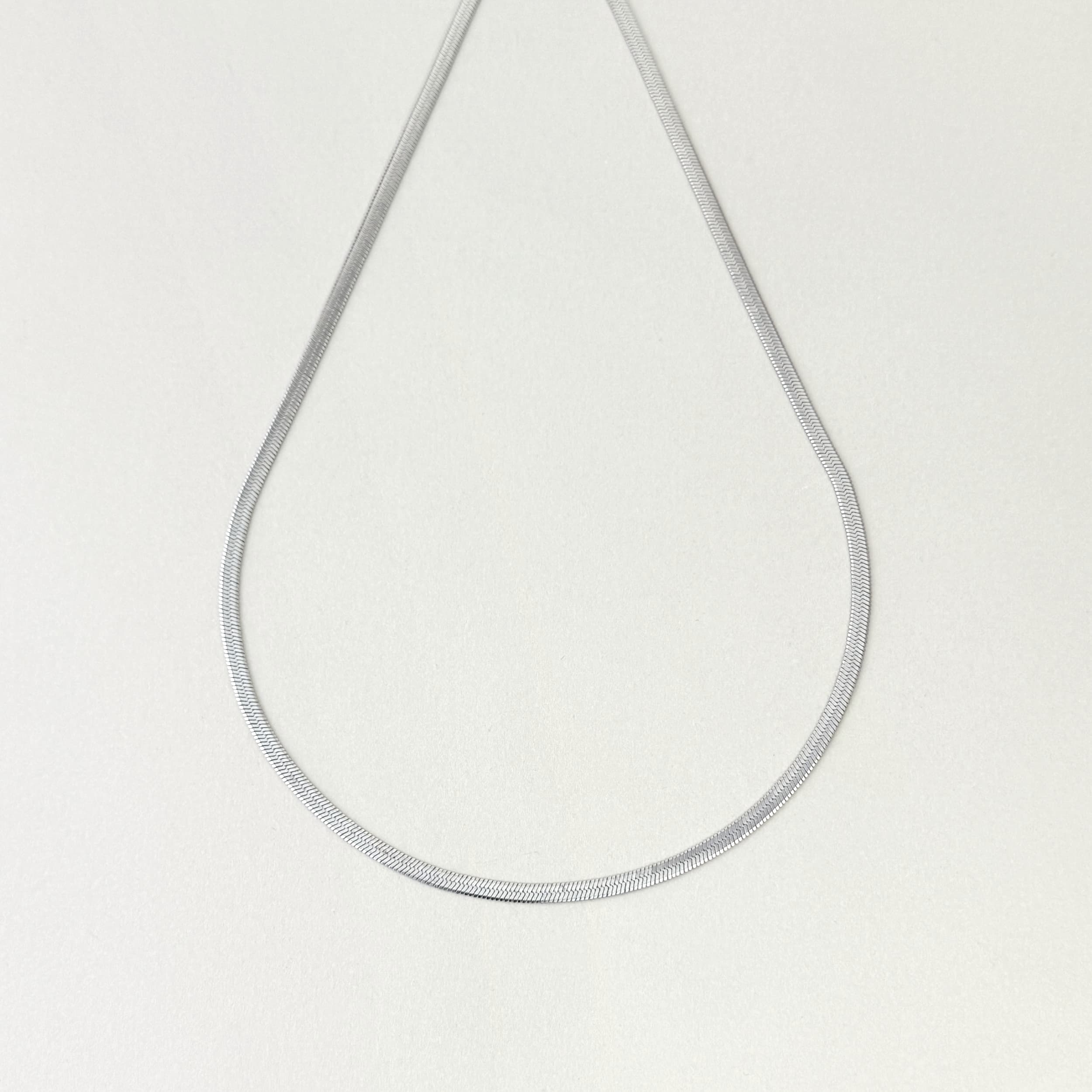 Flat Snake Chain Necklace