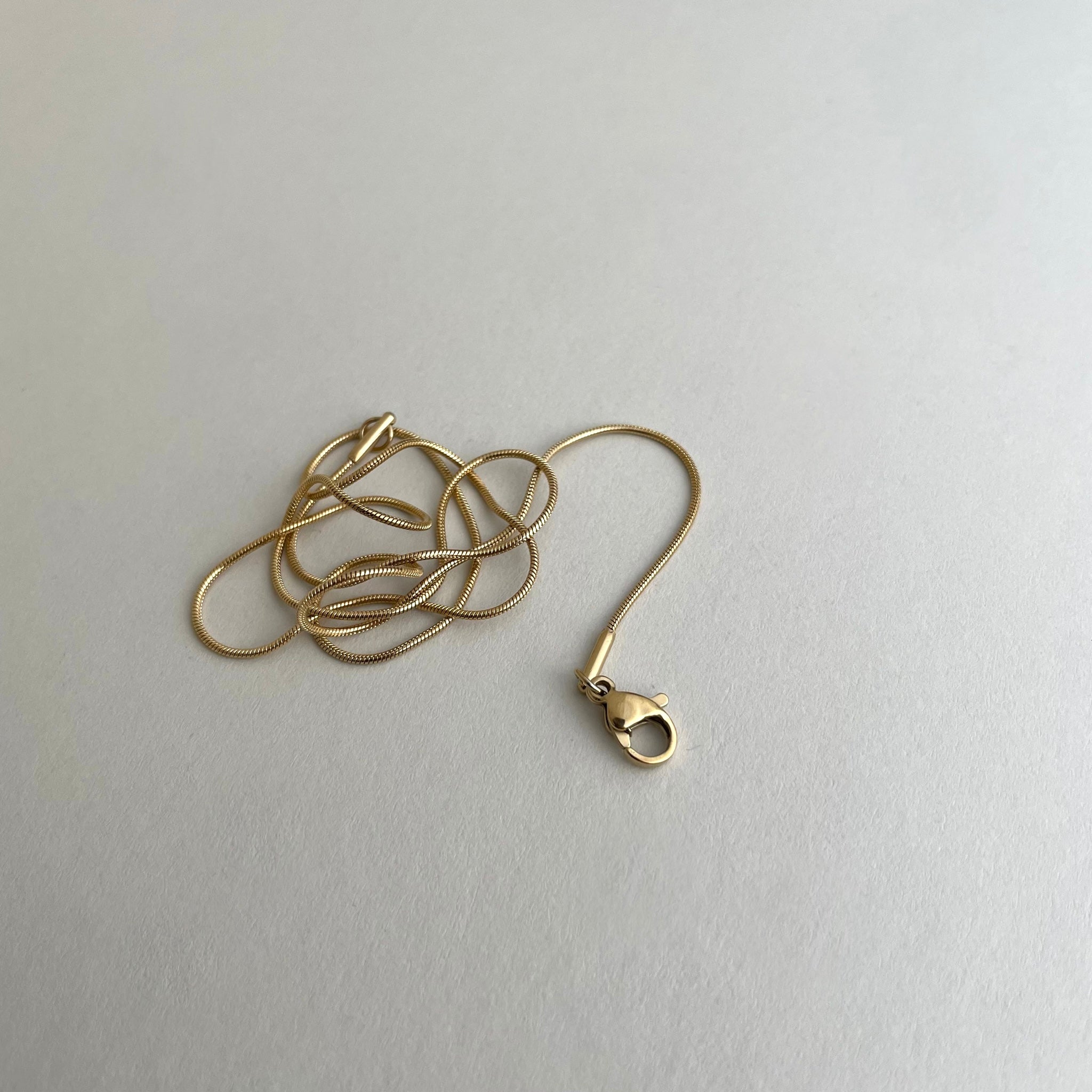 Snake Chain Necklace