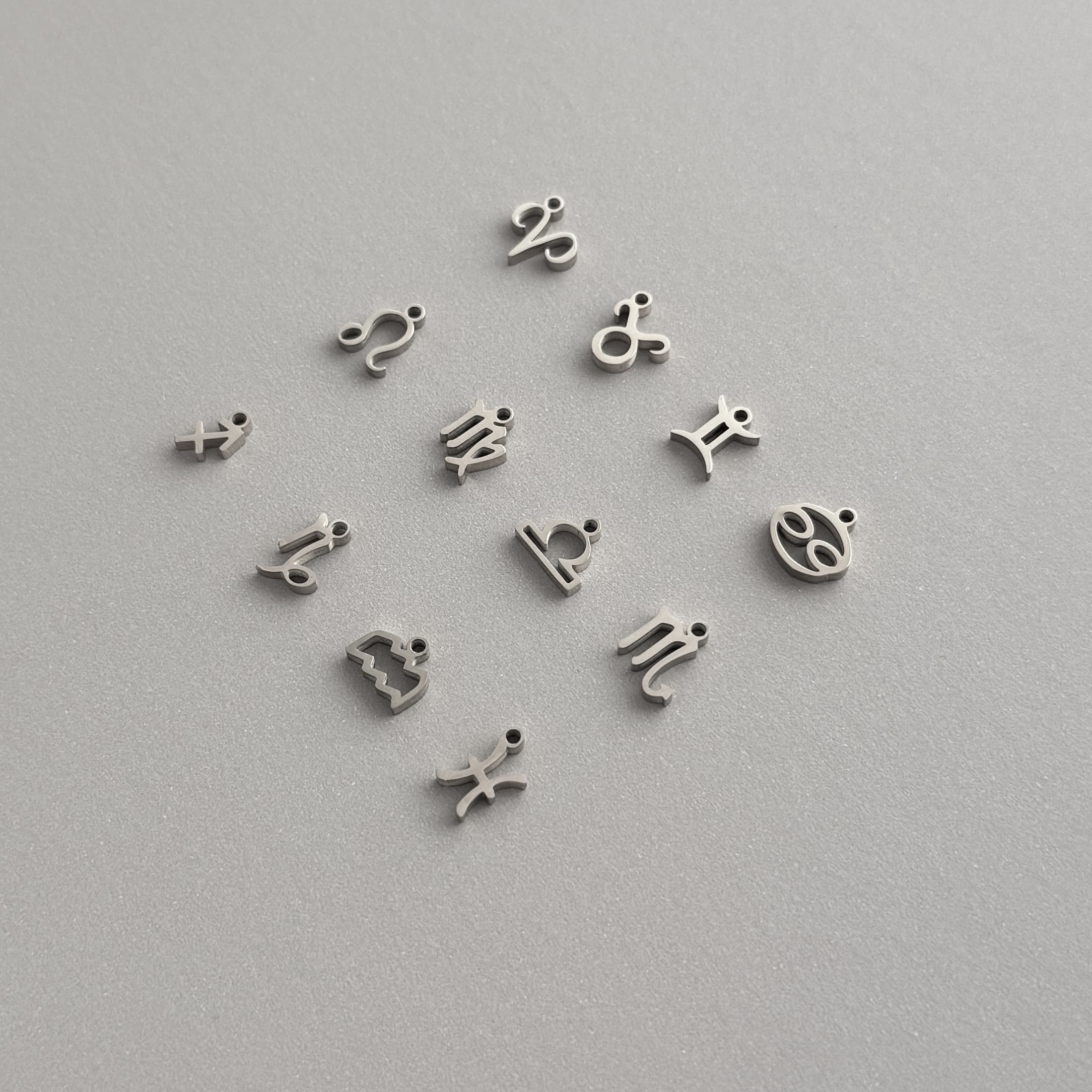 Zodiac Sign Charms
