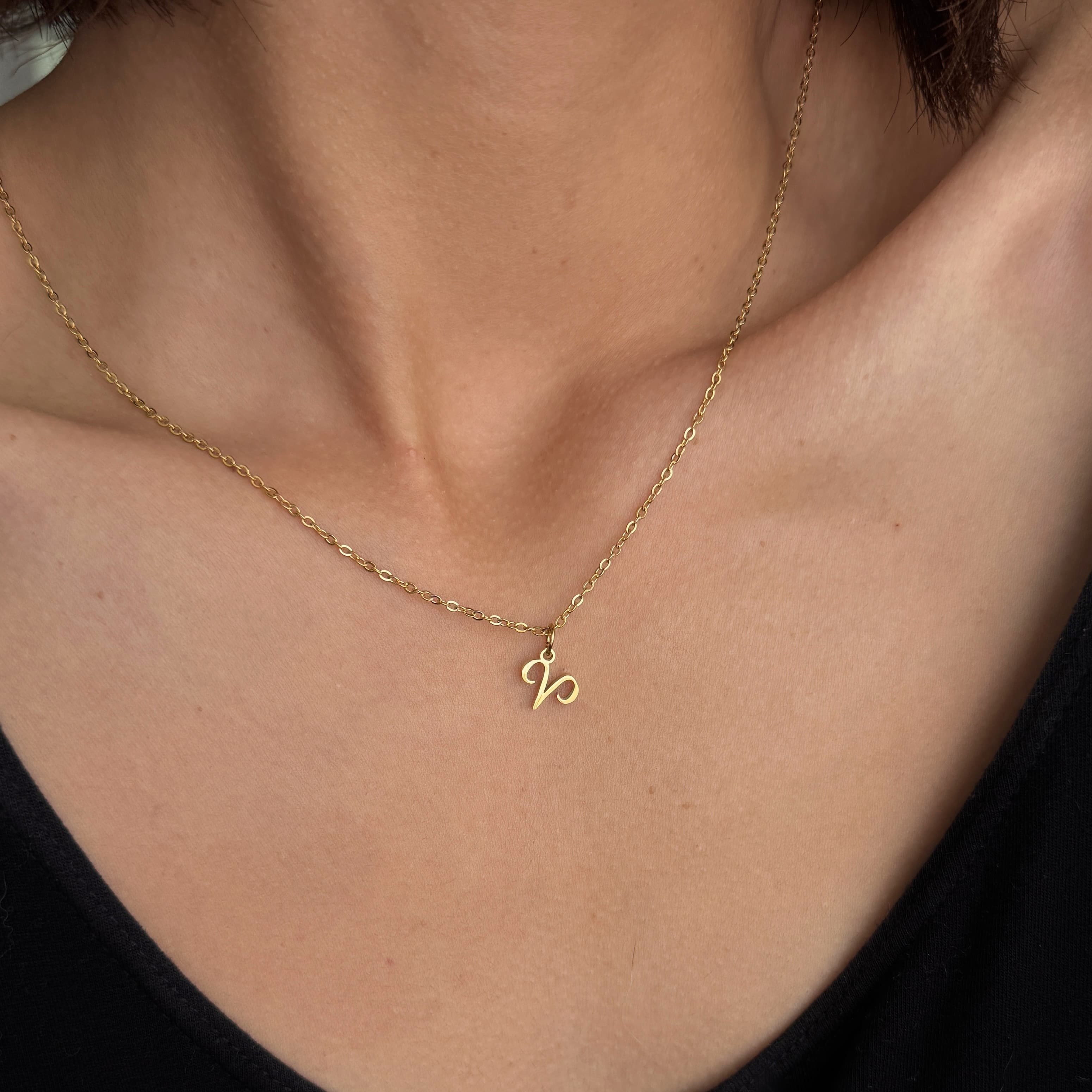 Zodiac Sign Charms