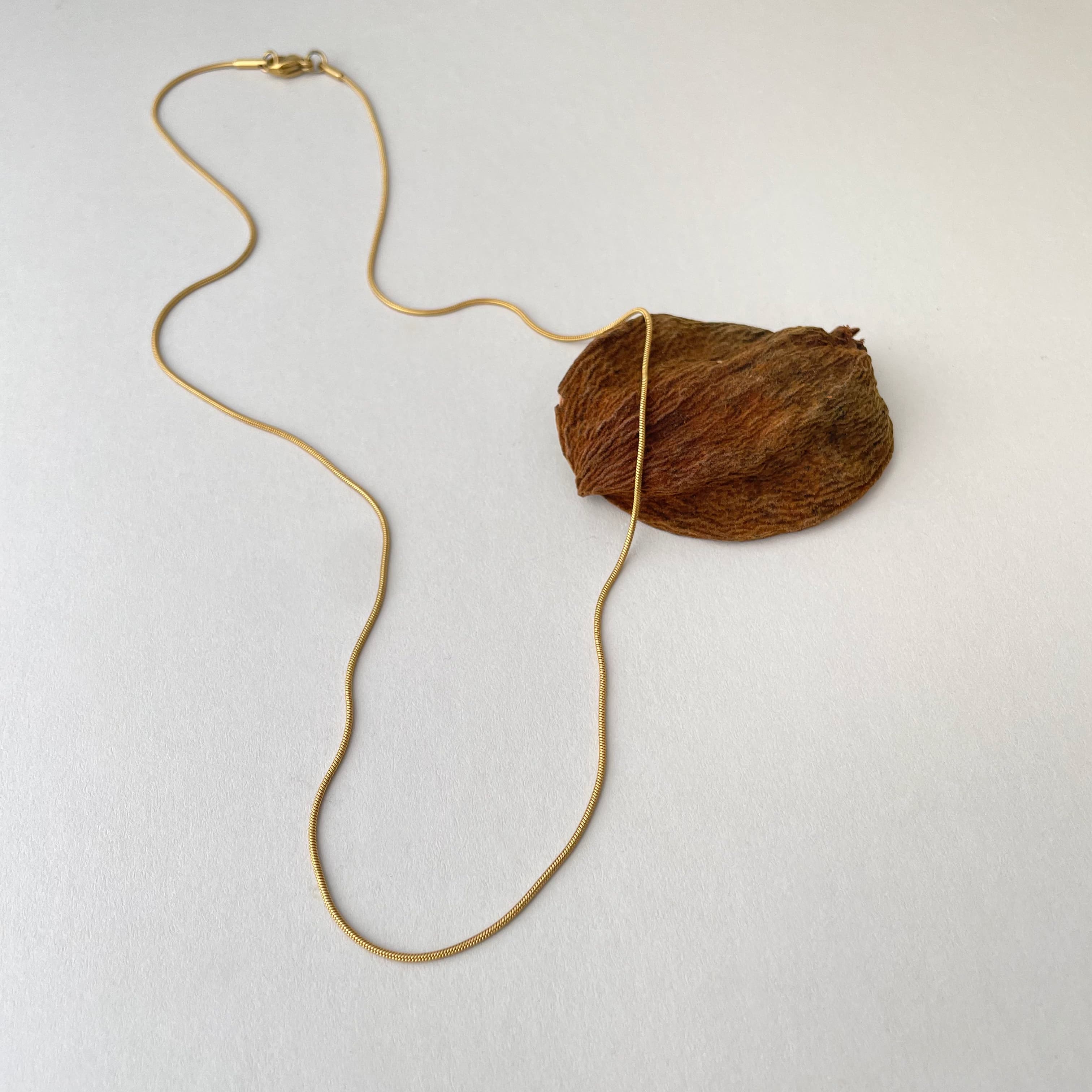 Snake Chain Necklace
