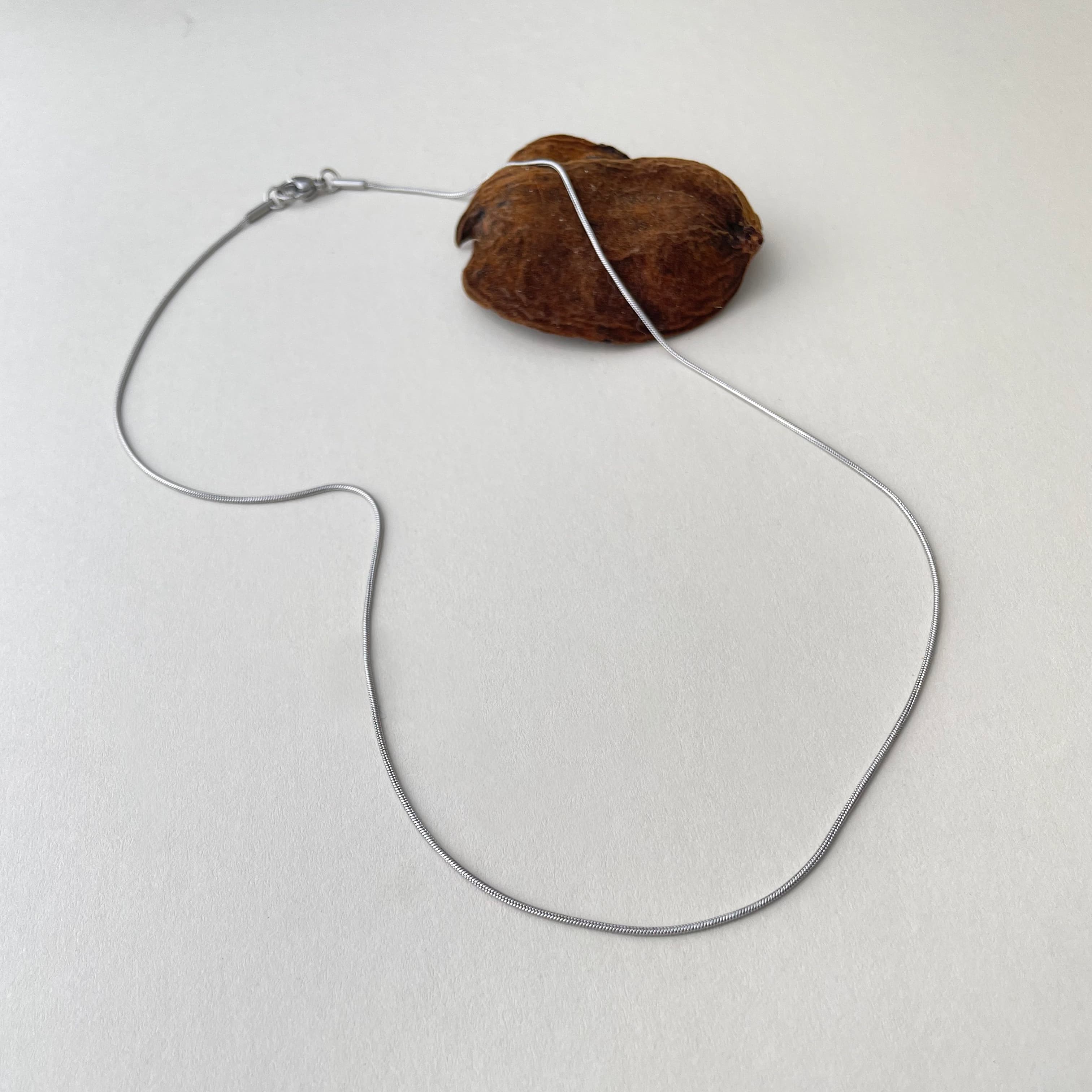 Snake Chain Necklace