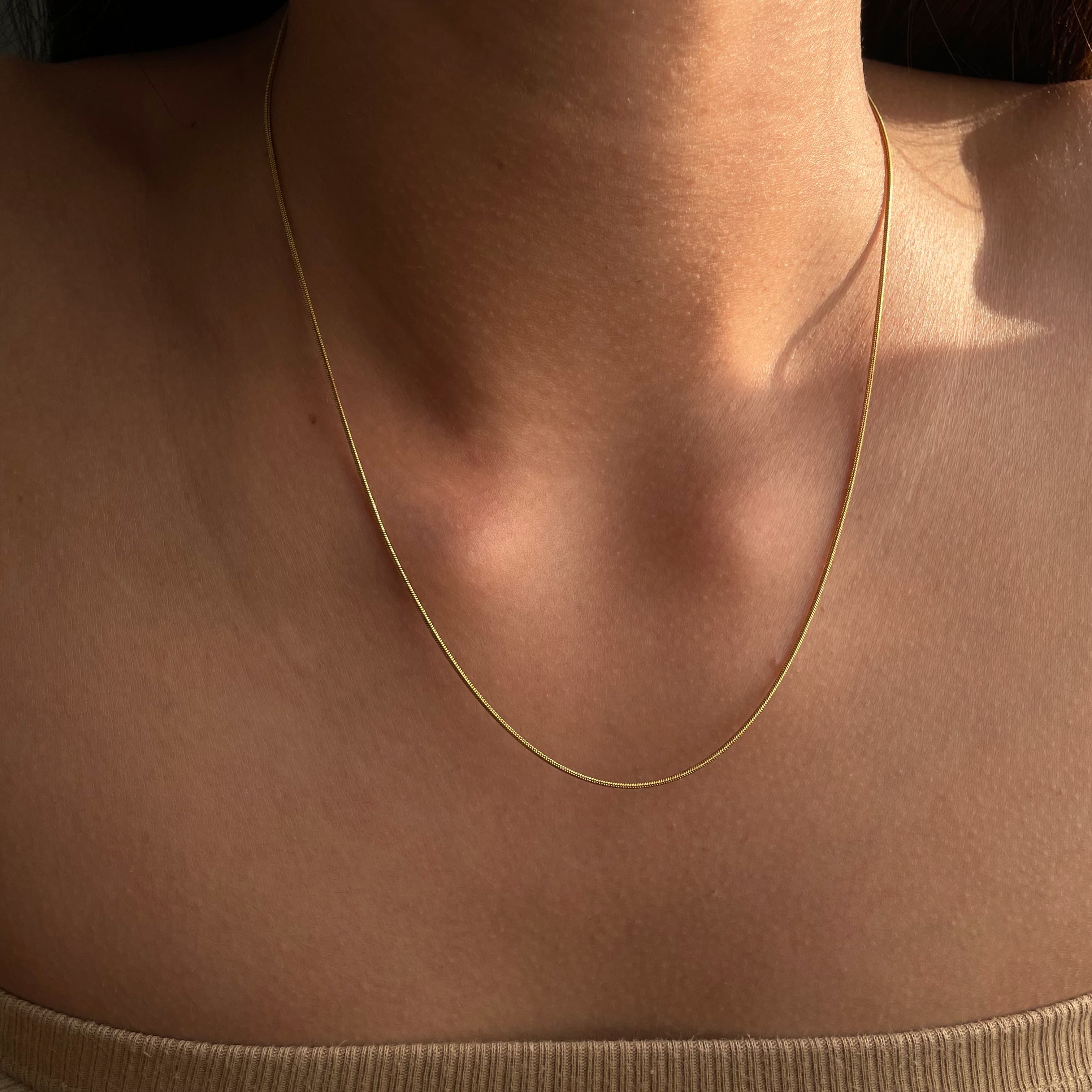 Snake Chain Necklace