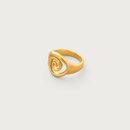 Spiral Wave Ring
