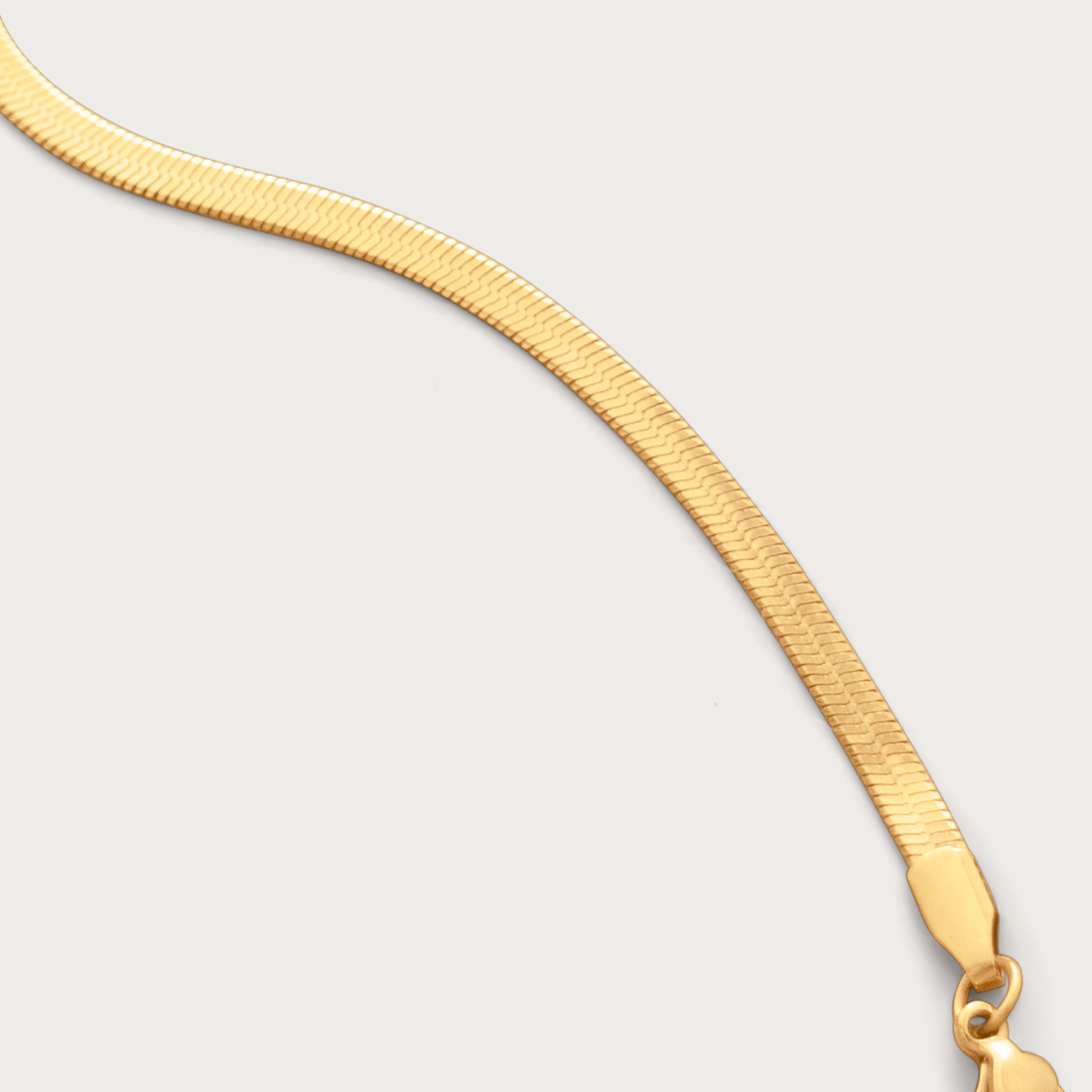 Flat Snake Chain Bracelet