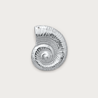 Spiral Shell Charm