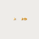 Petite Star Studs