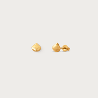 Shell Studs