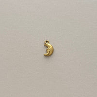 Luna Charm