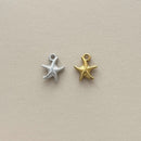 Starfish Charm
