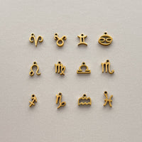 Zodiac Sign Charms