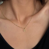 Zodiac Sign Charms