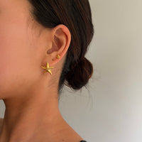 Shell Studs