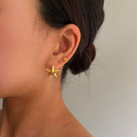 Starfish Studs