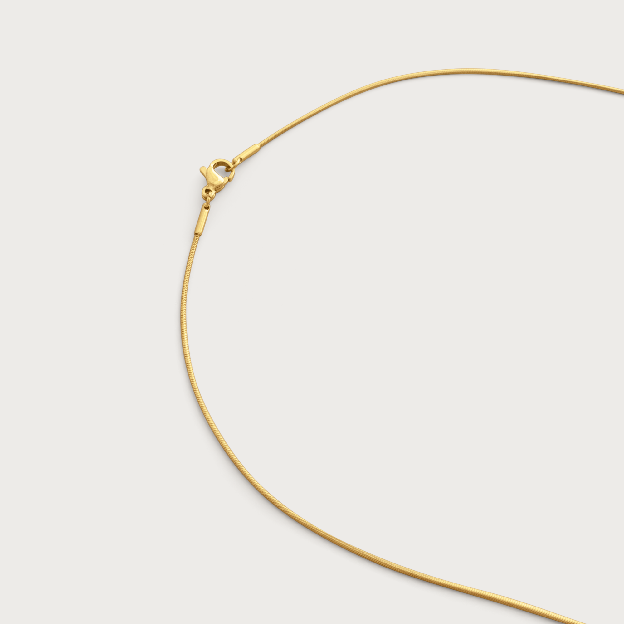 Snake Chain Necklace