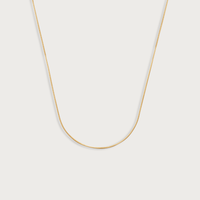 Snake Chain Necklace