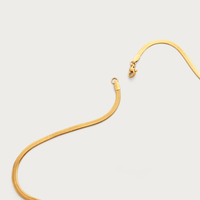 Flat Snake Chain Necklace